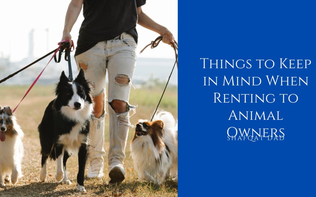Things to Keep in Mind When Renting to Animal Owners